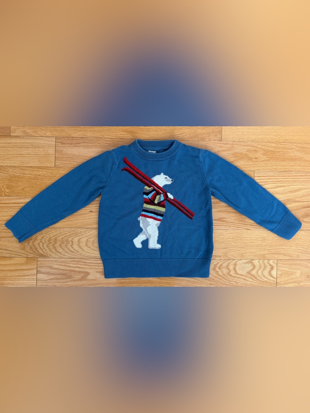 Gap Kids Blue Polar Bear Knit Sweater with Ski Motif size 5